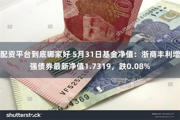 配资平台到底哪家好 5月31日基金净值：浙商丰利增强债券最新净值1.7319，跌0.08%