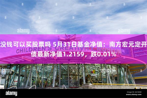 没钱可以买股票吗 5月31日基金净值：南方宏元定开债最新净值1.2159，跌0.01%