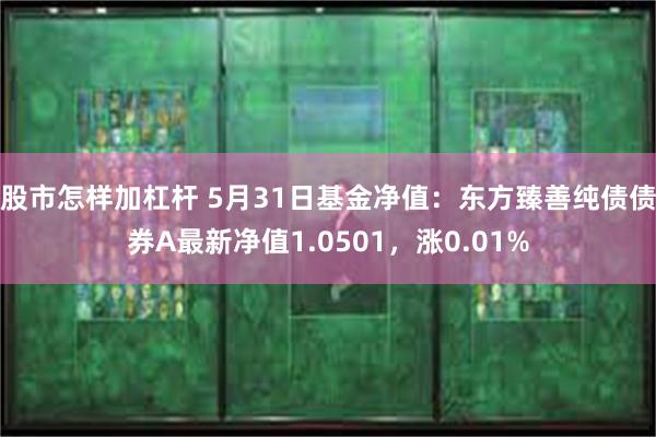 股市怎样加杠杆 5月31日基金净值：东方臻善纯债债券A最新净值1.0501，涨0.01%