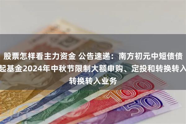 股票怎样看主力资金 公告速递：南方初元中短债债券发起基金2024年中秋节限制大额申购、定投和转换转入业务