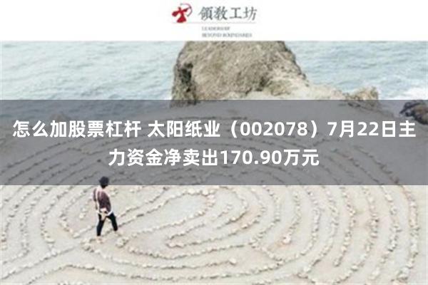 怎么加股票杠杆 太阳纸业（002078）7月22日主力资金净卖出170.90万元