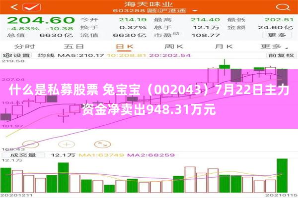 什么是私募股票 兔宝宝（002043）7月22日主力资金净卖出948.31万元