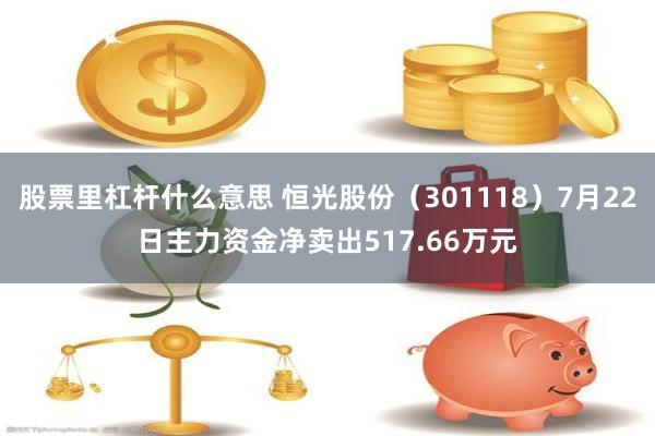 股票里杠杆什么意思 恒光股份（301118）7月22日主力资金净卖出517.66万元