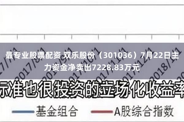 最专业股票配资 双乐股份（301036）7月22日主力资金净卖出7228.83万元