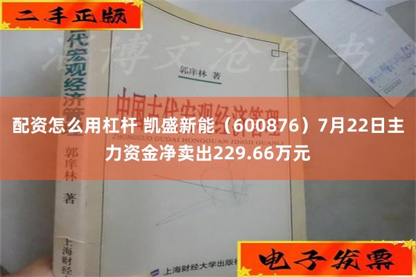 配资怎么用杠杆 凯盛新能（600876）7月22日主力资金净卖出229.66万元