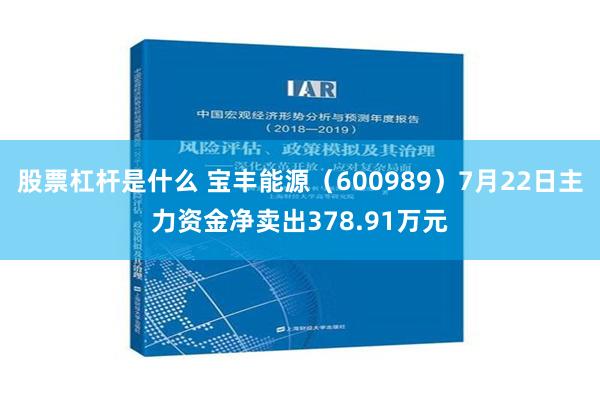 股票杠杆是什么 宝丰能源（600989）7月22日主力资金净卖出378.91万元