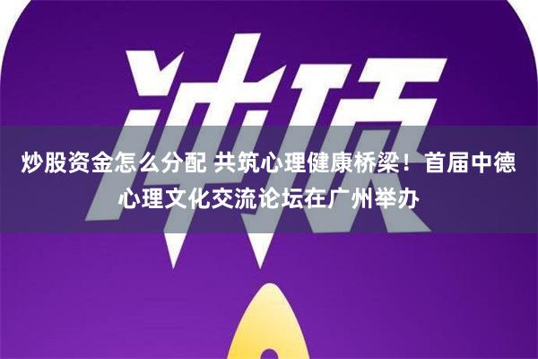 炒股资金怎么分配 共筑心理健康桥梁！首届中德心理文化交流论坛在广州举办