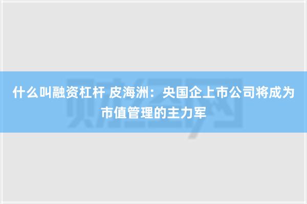 什么叫融资杠杆 皮海洲：央国企上市公司将成为市值管理的主力军