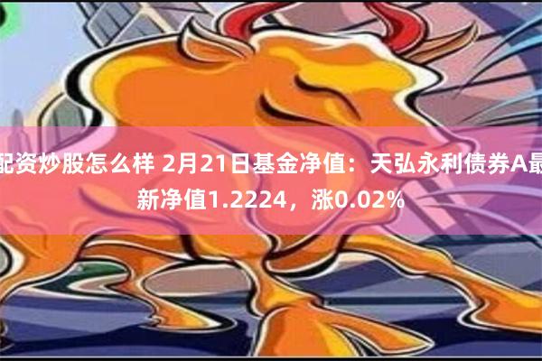 配资炒股怎么样 2月21日基金净值：天弘永利债券A最新净值1.2224，涨0.02%